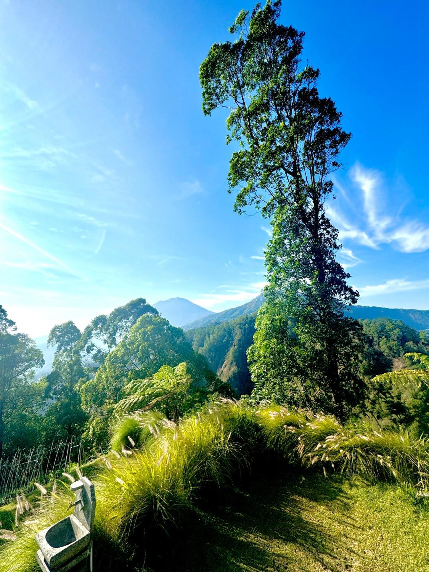 ホテル Alengkong Bali Camp Bangli エクステリア 写真